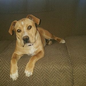 Meet your Posher, Luz